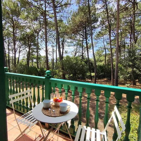 Ferienhaus Belle Maison Avec Acces Piscine Et Golf Lacanau