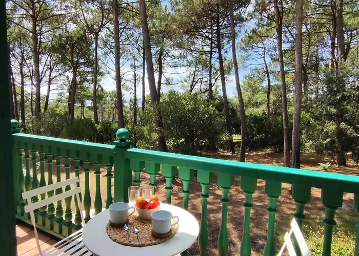 Ferienhaus Belle Maison Avec Acces Piscine Et Golf Lacanau